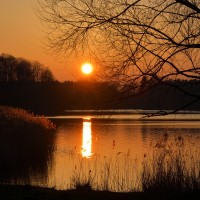 Sonnenuntergang am Öjendorfer See